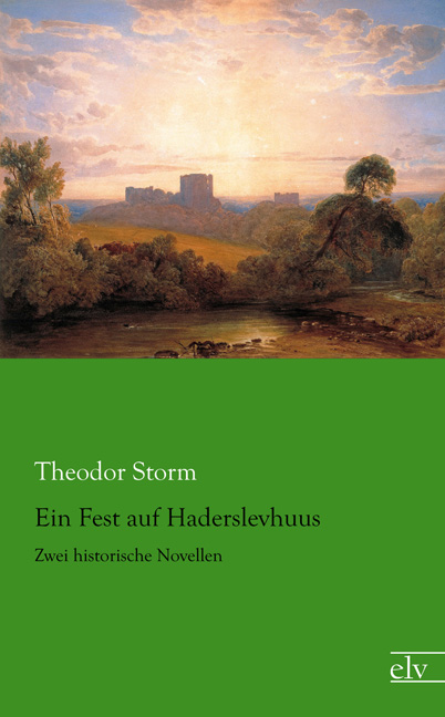 Cover des Titels Ein Fest auf Haderslevhuus von Storm Theodor